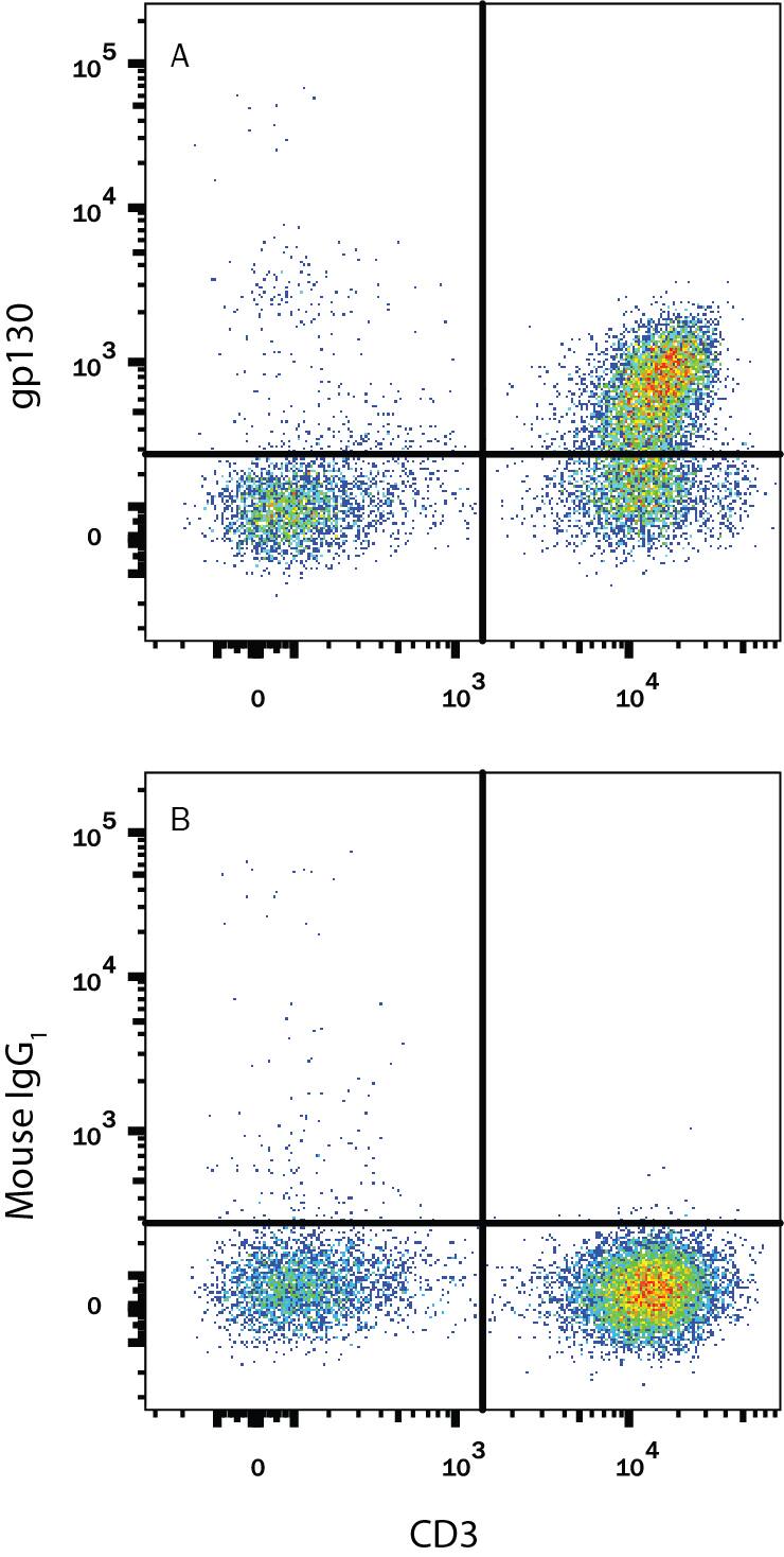 Human peripheral blood lymphocytes were stained with Mouse Anti-Human CD3e APC-conjugated Monoclonal Antibody (Catalog # FAB100A) and either (A) Mouse Anti-Human gp130 PE-conjugated Monoclonal Antibody (Catalog # FAB228P) or (B) Mouse IgG1Phycoerythrin Isotype Control (Catalog # IC002P). View our protocol for Staining Membrane-associated Proteins.