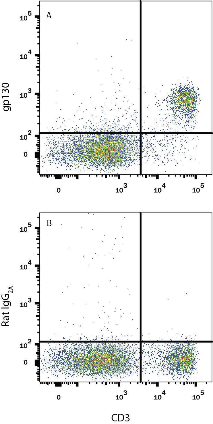 Mouse splenocytes were stained with Rat Anti-Mouse CD3 PE-conjugated Monoclonal Antibody (Catalog # FAB4841P) and either (A) Rat Anti-Mouse gp130 APC-conjugated Monoclonal Antibody (Catalog # FAB4681A) or (B) Rat IgG2AAllophycocyanin Isotype Control (Catalog # IC006A). View our protocol for Staining Membrane-associated Proteins.