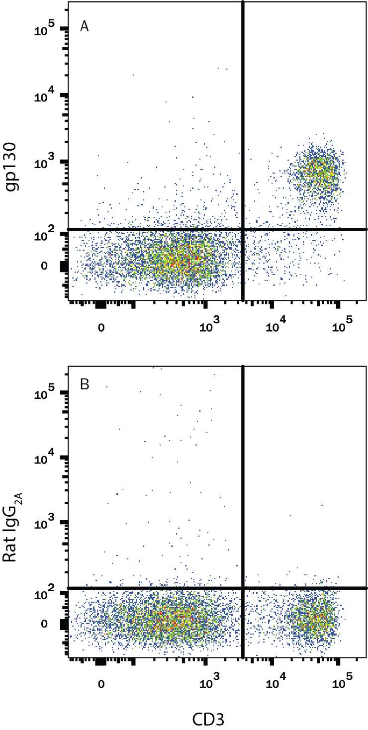 Mouse splenocytes were stained with Rat Anti-Mouse CD3 APC-conjugated Monoclonal Antibody (Catalog # FAB4841A) and either (A) Rat Anti-Mouse gp130 PE-conjugated Monoclonal Antibody (Catalog # FAB4681P) or (B) Rat IgG2APhycoerythrin Isotype Control (Catalog # IC006P). View our protocol for Staining Membrane-associated Proteins.