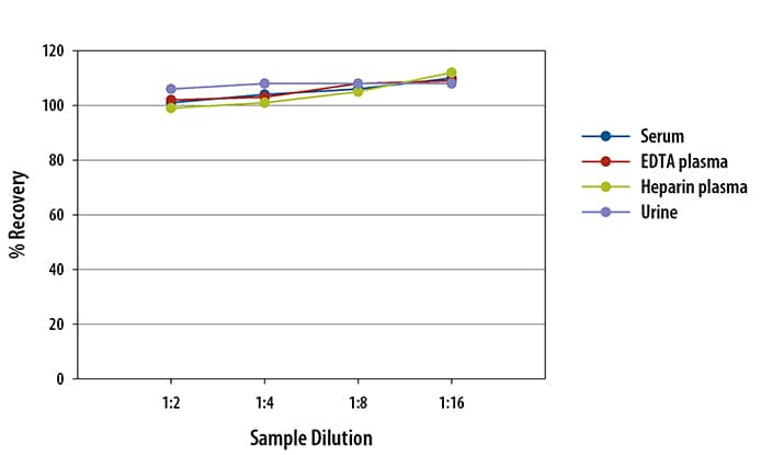 Human IL-6 Quantikine HS ELISA Kit