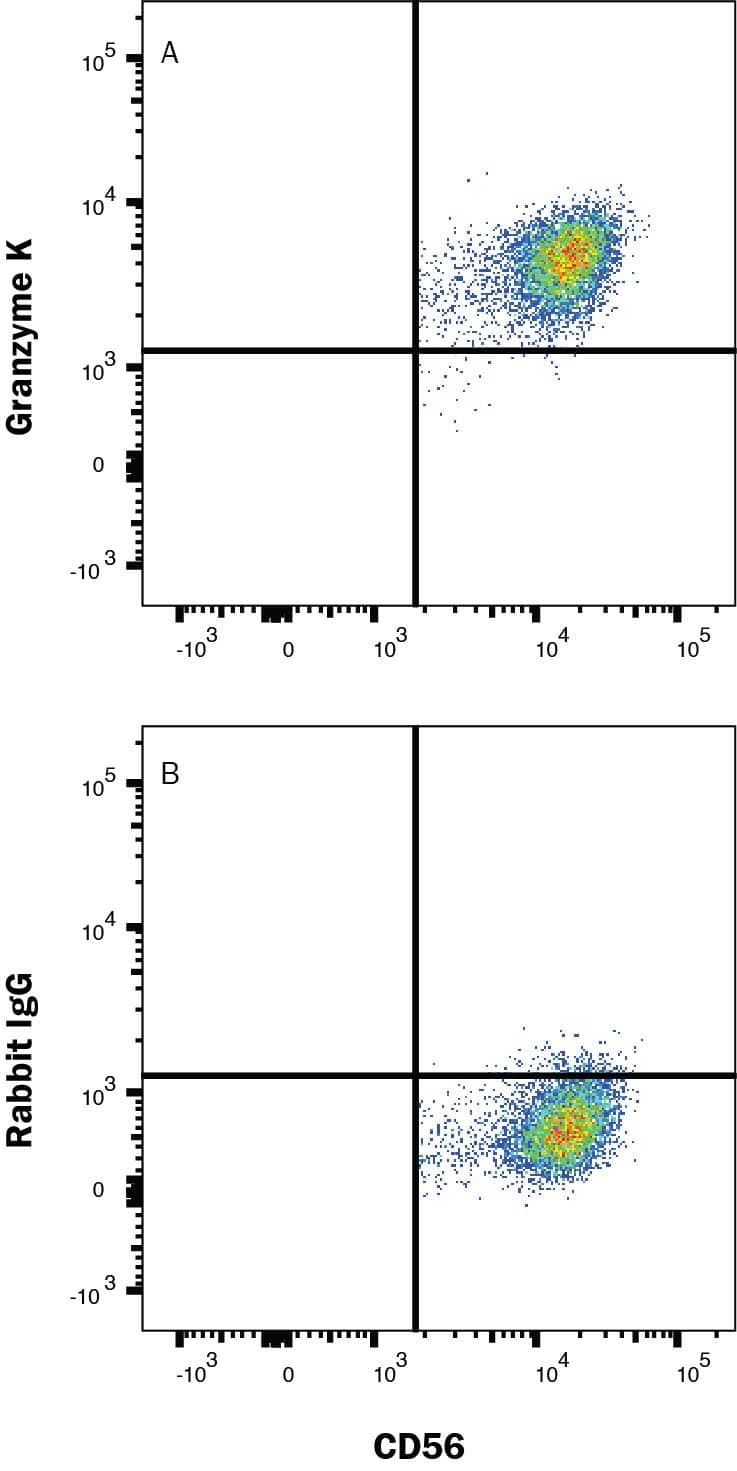 NK cells treated with Recombinant Human IL-2 Protein (202-IL), Recombinant Human IL-12 Protein (219-IL), Recombinant Human IL-18/IL-1F4 Protein (9124-IL) and Recombinant Human IL-21 Protein (8879-IL) for 10 days were stained with Rabbit Anti-Human NCAM-1/CD56 Alexa Fluor® 647-conjugated Monoclonal Antibody (FAB24086R) and either (A) Rabbit Anti-Human Granzyme K Alexa Fluor® 594-conjugated Monoclonal Antibody (Catalog # IC10216T) or (B) Normal Rabbit IgG Control (AB-105-C). To facilitate intracellular staining, cells were fixed and permeabilized with FlowX FoxP3 Fixation & Permeabilization Buffer Kit (FC012). View our protocol for Staining Intracellular Molecules.