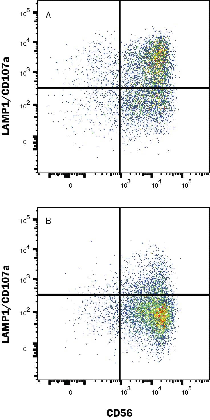 NK cells were expanded from PBMC using Cloudz Human NK Cell Expansion Kit (CLD004) and cultured in the presence of Mouse Anti-Human LAMP-1/CD107a PE-conjugated Monoclonal Antibody (Catalog # IC4800P) for 2 hours either (A) with or (B) without a 1:1 ratio of K562 cell line target cells. Cells were then stained with Mouse Anti-Human NCAM-1/CD56 APC-conjugated Monoclonal Antibody (FAB2408A). Quadrant markers were set based on control antibody staining (IC0041P).  Staining was performed using our Staining Surface Molecules protocol.