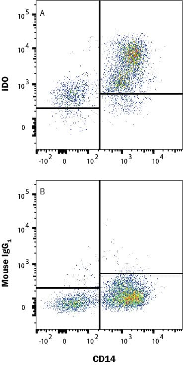 Human Monocytes were selected from PBMC using MagCellect Human CD14+ Cell Isolation Kit (MAGH105) and cultured overnight with Recombinant Human MCSF (50 ng/mL; 216-MC), Recombinant Human IFN gamma (50 ng/mL; 285-IF) and 50 ng/mL LPS and stained with (A) Mouse Anti-Human Indoleamine 2,3-dioxygenase/IDO APC-conjugated Monoclonal Antibody (Catalog # IC6030A) or (B) Mouse IgG1 isotype control antibody (IC002A) and Mouse Anti-Human CD14 PE-conjugated Monoclonal Antibody (FAB3832P). To facilitate intracellular staining, cells were fixed and permeabilized with FlowX FoxP3/Transcription Factor Fixation & Perm Kit (FC012). Staining was performed using our Staining Intracellular Molecules protocol. 