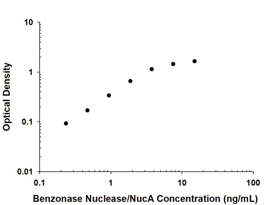 Recombinant NucA nuclease protein was serially diluted 2-fold and captured by Mouse Anti-NucA nuclease Monoclonal Antibody (Catalog # MAB100635) coated on a Clear Polystyrene Microplate (DY990). Mouse Anti-NucA nuclease Monoclonal Antibody (MAB100634) was biotinylated and incubated with the protein captured on the plate. Detection of the standard curve was achieved by incubating Streptavidin-HRP (DY998) followed by Substrate Solution (DY999) and stopping the enzymatic reaction with Stop Solution (DY994).
