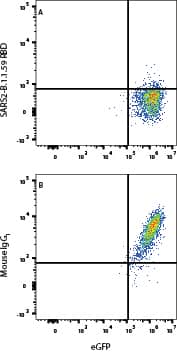 In a functional flow cytometry test, Recombinant SARS-Cov-2 Spike RBD His-tagged protein (10500-CV) binds to HEK293 human embryonic kidney cell line transfected with recombinant human ACE-2 and eGFP.  (A) Binding is blocked by 25µg/mL of Mouse Anti-SARS-CoV-2 Spike RBD Monoclonal Antibody (Catalog # MAB11227) but not by (B) Mouse IgG1 Isotype Control (Catalog # MAB002). Protein binding was detected with His Tag Allophycocyanin Mab (Catalog # IC050A). View our protocol for Staining Membrane-associated Proteins. 