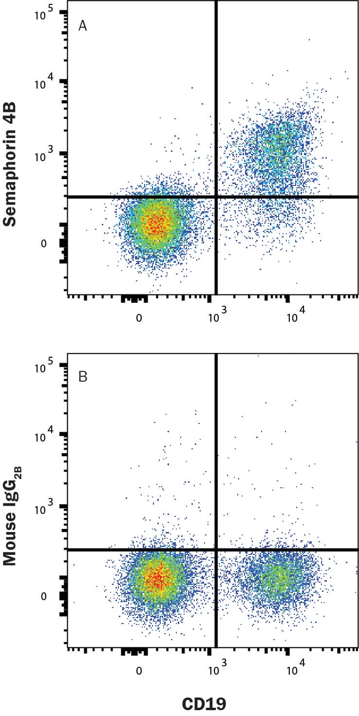 Flow Cytometry Semaphorin 4B Antibody (561416) [Unconjugated]