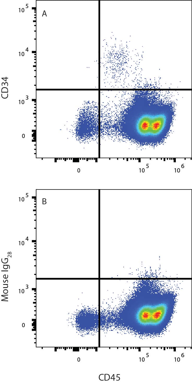 Human peripheral blood mononuclear cells (PBMCs) were stained with (A) Mouse Anti-Human CD34 Monoclonal Antibody (Catalog # MAB72274) or (B) Mouse IgG2B isotype control antibody (MAB0041) followed by APC-conjugated Anti-Mouse IgG secondary antibody and Mouse Anti-Human CD45 PE-conjugated Monoclonal Antibody (FAB1430P). View our protocol for Staining Membrane-associated Proteins.