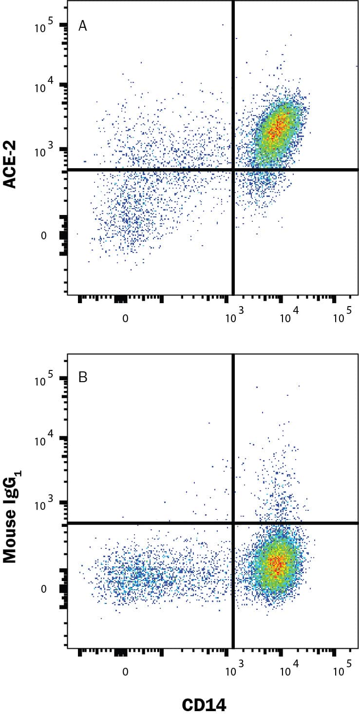 ACE-2 Antibody (171607) [Unconjugated] (MAB9333): Novus Biologicals