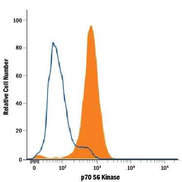 HeLa human cervical epithelial carcinoma cell line was stained with Mouse Anti-Human/Mouse/Rat p70 S6 Kinase Alexa Fluor® 488-conjugated Monoclonal Antibody (Catalog # IC8962G, filled histogram) or isotype control antibody (Catalog # IC002G, open histogram). To facilitate intracellular staining, cells were fixed with Flow Cytometry Fixation Buffer (Catalog # FC004) and permeabilized with Flow Cytometry Permeabilization/Wash Buffer I (Catalog # FC005). View our protocol for Staining Intracellular Molecules.