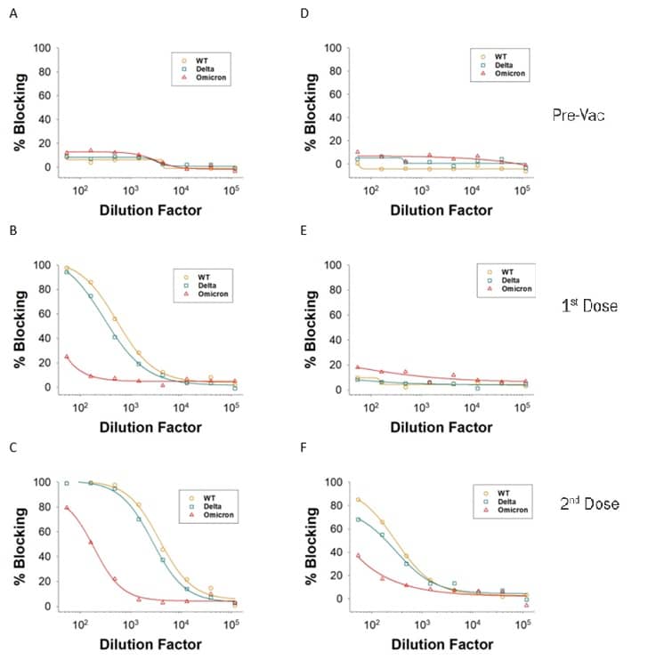 Plasma samples were collected from two donors over a time course consisting of Pre-Vaccination (Pre-Vac), or after receiving the 1st Dose or 2nd Dose of the Moderna Vaccine. Donor 1 (A-C) and Donor 2 (D-F) had different blocking antibody levels after the first and second doses. In addition, increasing amounts of blocking antibodies were present at higher samples Dilution Factors after each dose. The differences in blocking efficiency of ACE-2 association between the WT, Delta, or Omicron variant Spike RBD was measured.