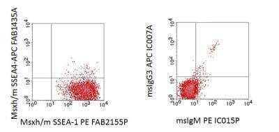 Digeorge Syndrome: Disease Bioinformatics: Novus Biologicals